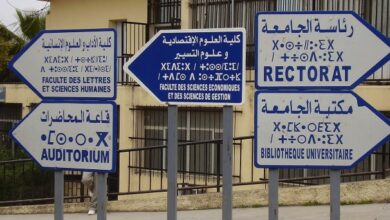 In Algeria, the Berber Language Can’t Get an Educational Foothold