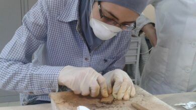 الباحثة في الآثار أمل قاسم.. مساعٍ في المهجر لتوثيق وحماية مواقع التراث السوري