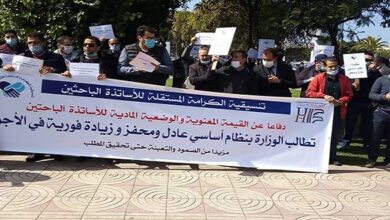 أكاديميو المغرب و«النظام الأساسي الجديد».. مطالب تستبق الإقرار الرسمي