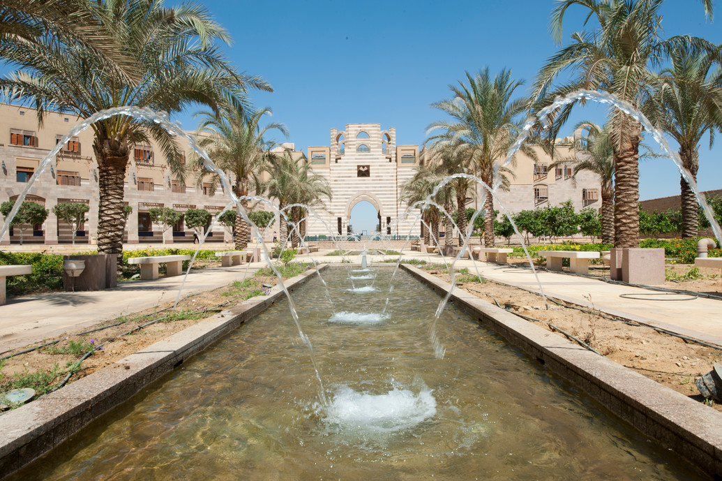 Alexandria U., American U. in Cairo Win Praise for Sustainability Practices