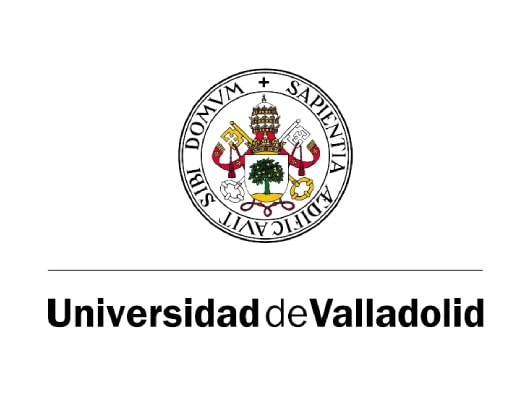 Master’s Scholarships for African Students at the University of Valladolid, Spain