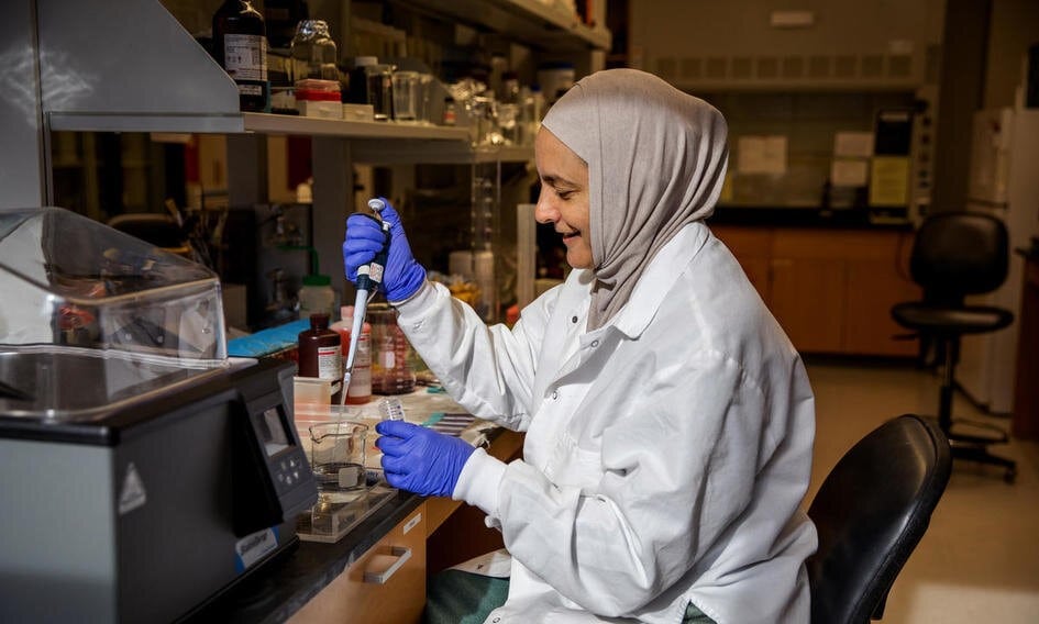 Guidelines for Scientific Research between the Global North and the Global South